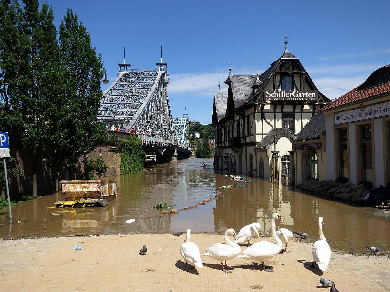 Hochwasser (131).JPG